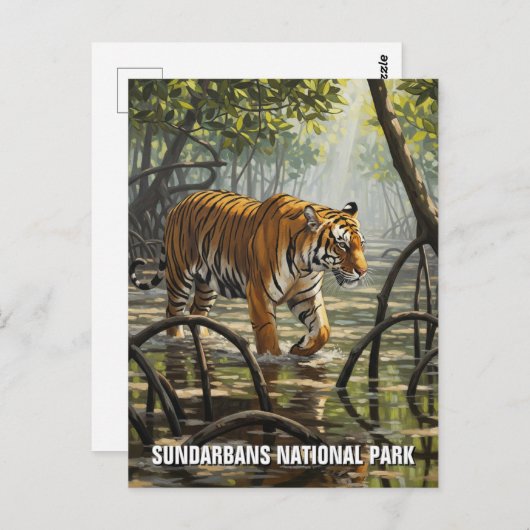 Tijger in het Sundarbans National Park Briefkaart (Voorkant / Achterkant)
