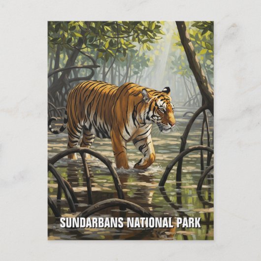 Tijger in het Sundarbans National Park Briefkaart (Voorkant)