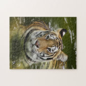 Tijger in het water legpuzzel (Horizontaal)