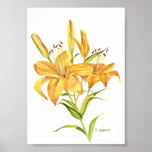 Tijger in poster met gouden en gele waterverf (Voorkant)