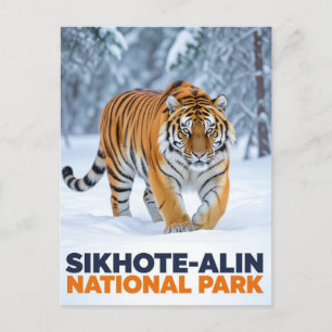 Tijger in Sikhote Alin Nationaal Park Rusland Briefkaart