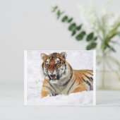 Tijger in sneeuw briefkaart (Staand voorkant)