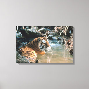 Tijger in water 2 canvas afdruk