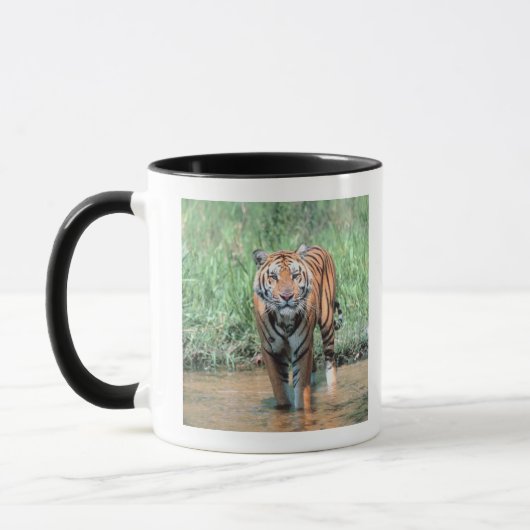 tijger in water mok (Links)