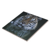 tijger in water tegeltje (Zijkant)