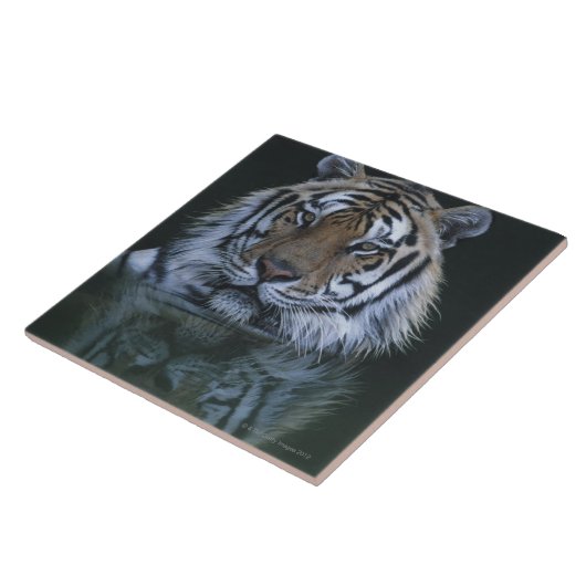 tijger in water tegeltje (Zijkant)