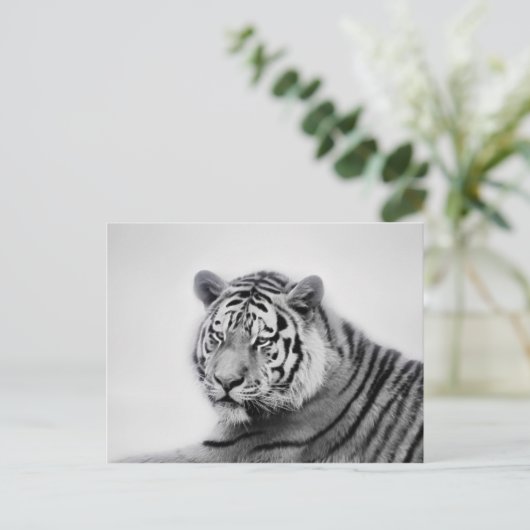 Tijger in Zwart-wit Briefkaart (Staand voorkant)