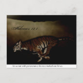 Tijger Inspirerend aanmoediging om de Race te runn Briefkaart (Voorkant)