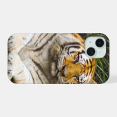 Tijger iPhone 15 Hoesje (Achterkant horizontaal)