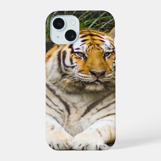 Tijger iPhone 15 Hoesje (Achterkant)