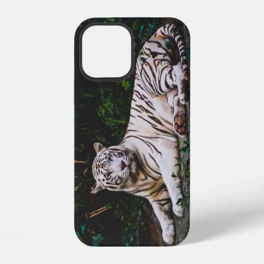 Tijger iPhone Hoesje (Achterkant)