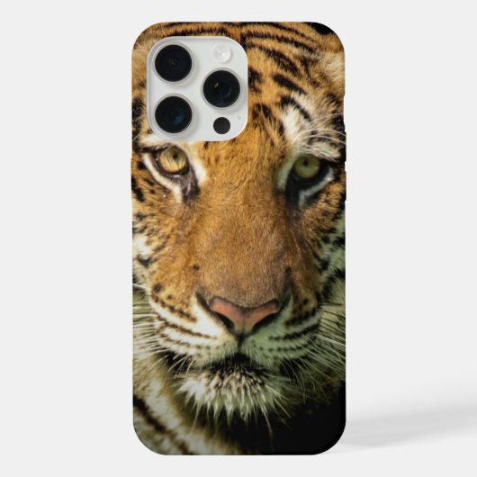 tijger iPhone hoesje (Achterkant)
