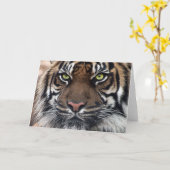 tijger kaart (Gele Bloem)