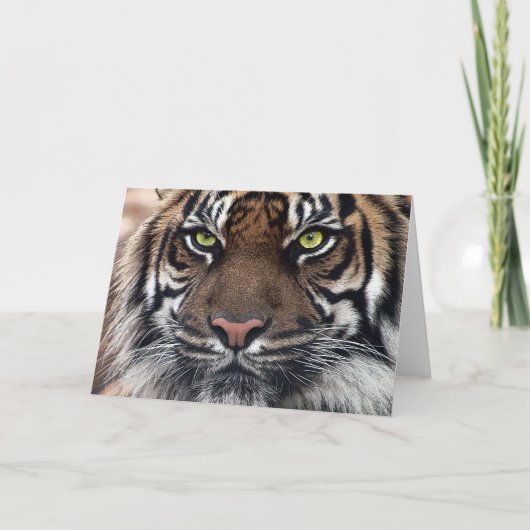 tijger kaart (Voorkant)