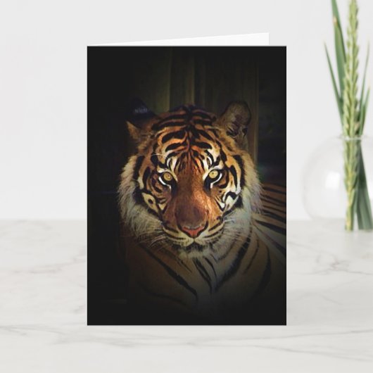 tijger kaart (Voorkant)