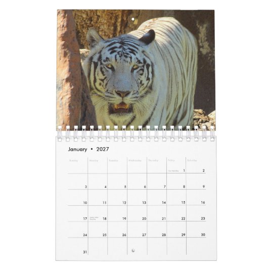 tijger kalender (Jan 2027)