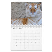 tijger kalender (Feb 2027)