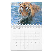 tijger kalender (Mar 2027)