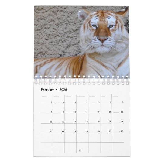 tijger kalender (Feb 2026)