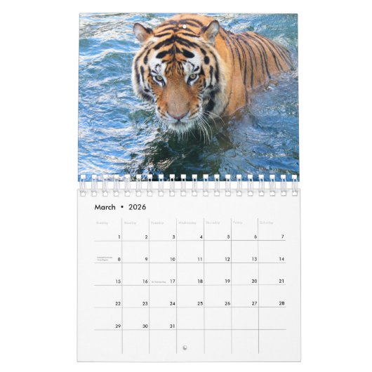 tijger kalender (Mar 2026)