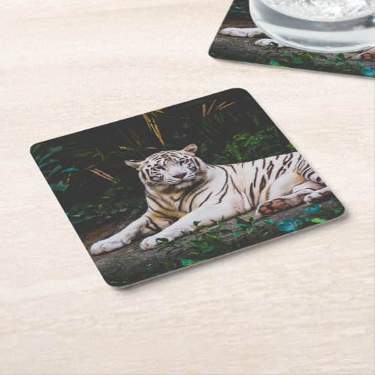 tijger kartonnen onderzetters (Schuin)