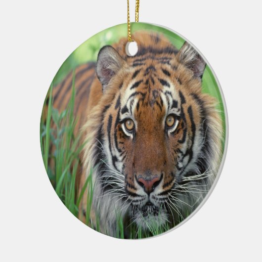 tijger keramisch ornament (Links)