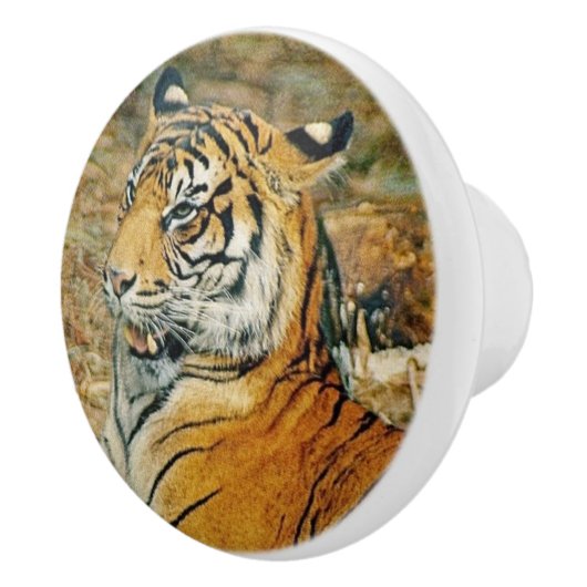 tijger keramische knop (Rechts)