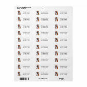 Tijger Kerst Retouradres Etiket (Full Sheet)