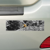Tijger Kiekeboe Bumpersticker (Op auto)