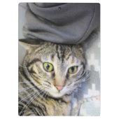 tijger klembord (Achterkant)