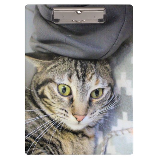 tijger klembord (Voorkant)