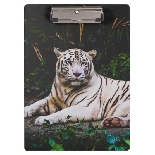 tijger klembord (Voorkant)