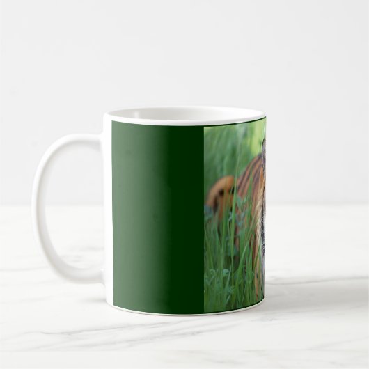 tijger koffiemok (Links)