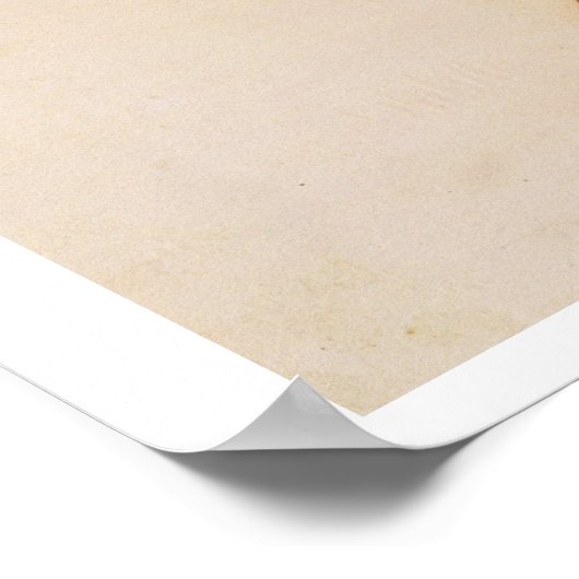 Tijger, lateraal Uitzicht, huid verwijderd uit 'A Poster (Hoek)