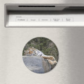 Tijger "Lazy Day" magneet (Insitu (Vaatwasser))