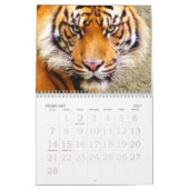 Tijger & Leeuw Expression_2010 Kalender (Feb 2027)