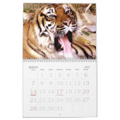 Tijger & Leeuw Expression_2010 Kalender (Mar 2027)