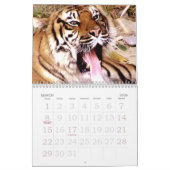 Tijger & Leeuw Expression_2010 Kalender (Mar 2026)