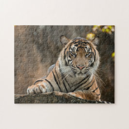 Tijger Legpuzzel