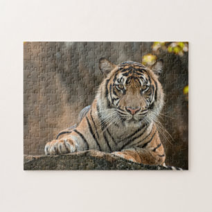 Tijger Legpuzzel