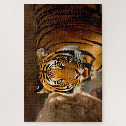 tijger legpuzzel (Verticaal)