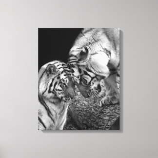 Tijger Liefde Foto op Canvas Wrap Afdruk