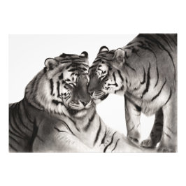 Tijger Liefde Kunst - Handgeschilderde Wilde Natuu Foto Afdruk