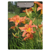 Tijger Lilies in een tuin Klembord (Voorkant)