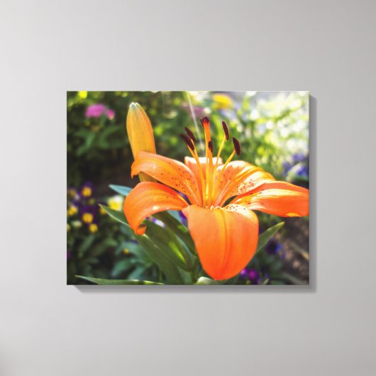 Tijger Lily Canvas Print (Voorkant)