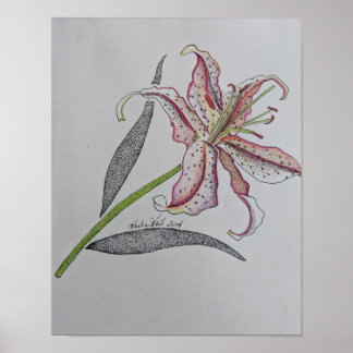 Tijger lily, Wilde lily, Lily flower, Oranje kunst Poster