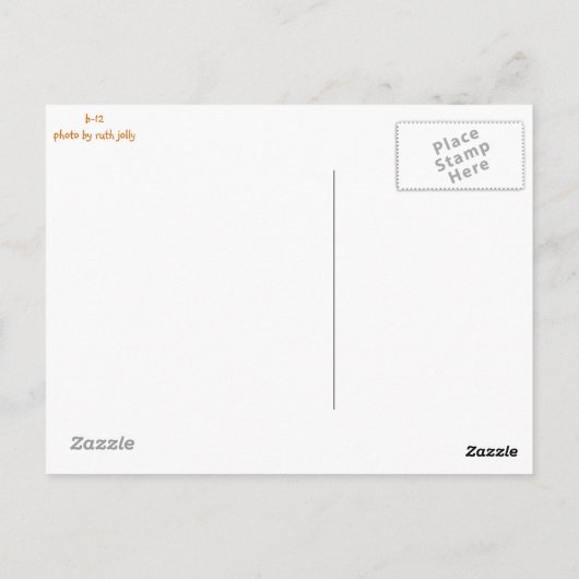 Tijger Long Briefkaart (Achterkant)