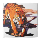 Tijger loopt tegeltje (Voorkant)