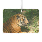 tijger luchtverfrisser (Achterkant)