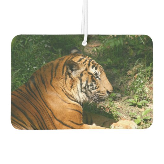 tijger luchtverfrisser (Achterkant)